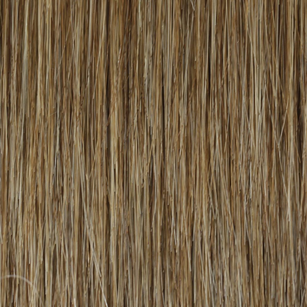 Charlotte by TressAllure Wig Lace Front Mono Top Heat Friendly