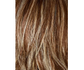 Posh Wavez Wig Lace Front Mono Part Heat Friendly by Rene of Paris